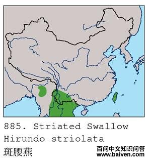 ������ĵ����ֲ�ͼ