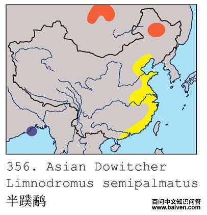 �����ֵĵ����ֲ�ͼ