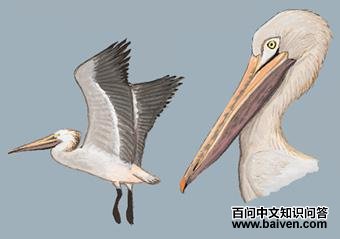 �������ɵ�ͼ��