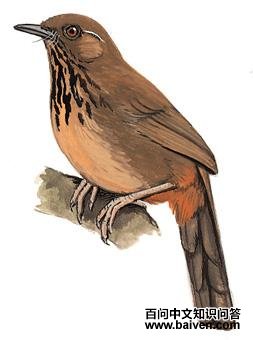 �������̵�ͼ��