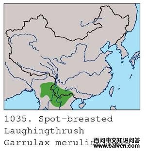 �������̵ĵ����ֲ�ͼ