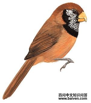 ����ѻȸ��ͼ��