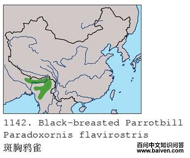 ����ѻȸ�ĵ����ֲ�ͼ