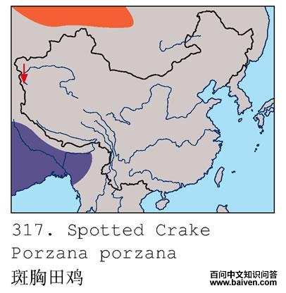 �����Ｆ�ĵ����ֲ�ͼ