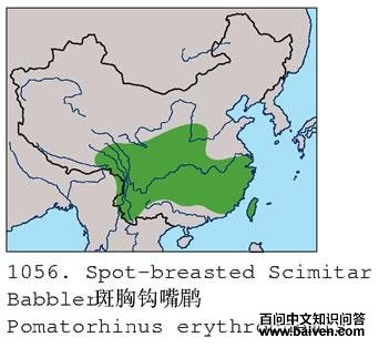 ���ع����̵ĵ����ֲ�ͼ