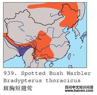 ���ض̳�ݺ�ĵ����ֲ�ͼ