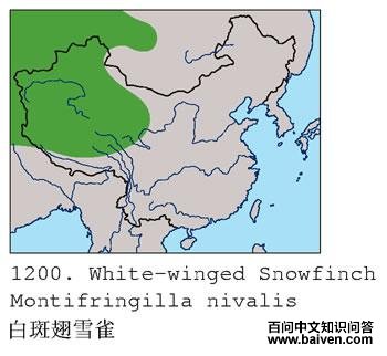 �װ߳�ѩȸ�ĵ����ֲ�ͼ