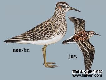 ���ر��ֵ�ͼ��