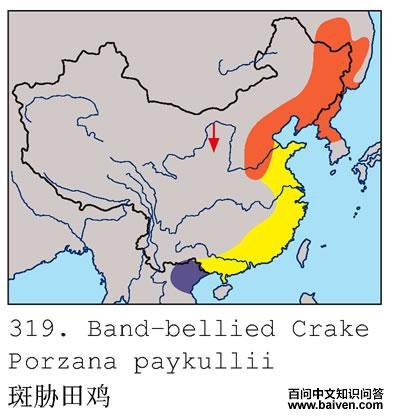 ��в�Ｆ�ĵ����ֲ�ͼ