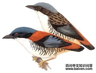 ��в���̵�ͼ��