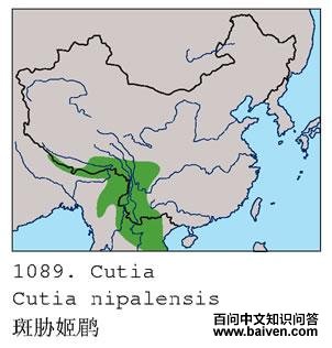 ��в���̵ĵ����ֲ�ͼ