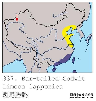 ��β���ֵĵ����ֲ�ͼ