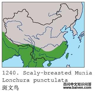 ������ĵ����ֲ�ͼ