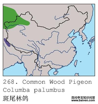 ��β�ָ�ĵ����ֲ�ͼ