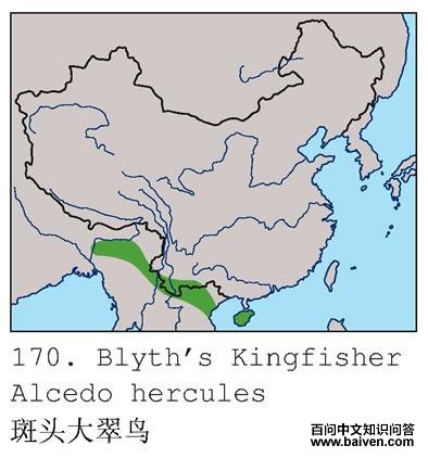 ��ͷ�����ĵ����ֲ�ͼ