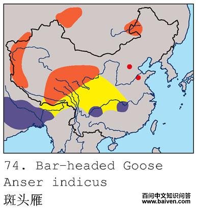 ��ͷ��ĵ����ֲ�ͼ