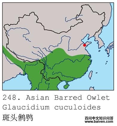 ��ͷ��m�ĵ����ֲ�ͼ