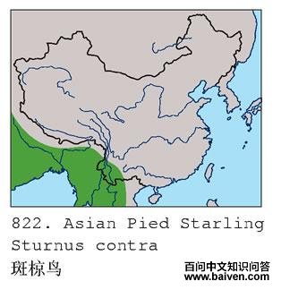 �����ĵ����ֲ�ͼ