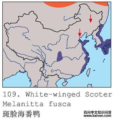 ��������Ѽ�ĵ����ֲ�ͼ