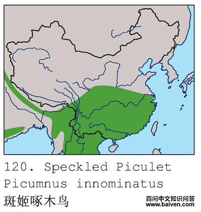 �߼���ľ��ĵ����ֲ�ͼ