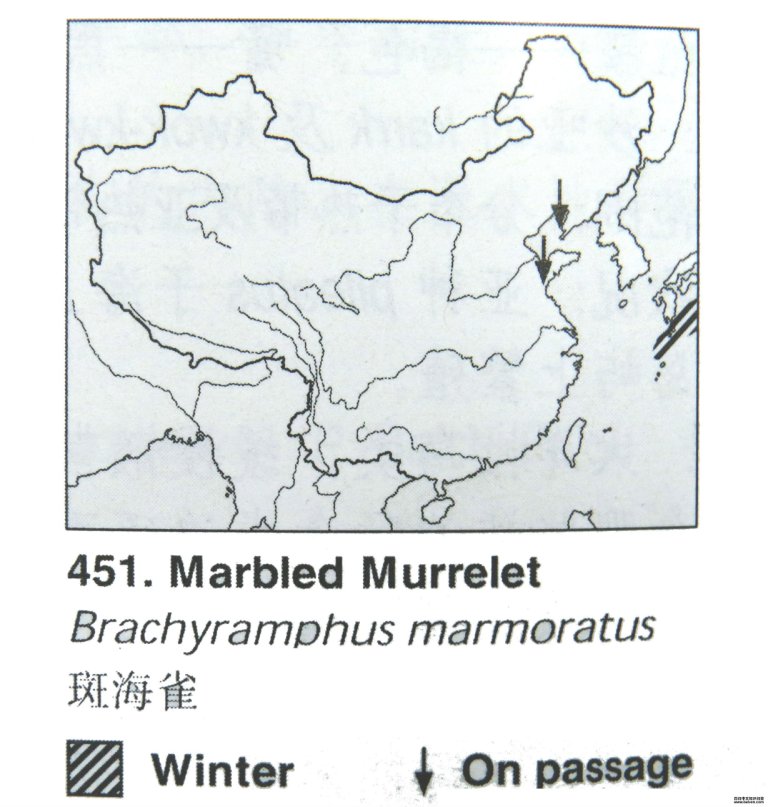 �ߺ�ȸ�ĵ����ֲ�ͼ