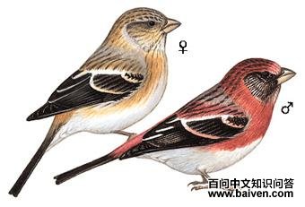 �߳���ȸ��ͼ��