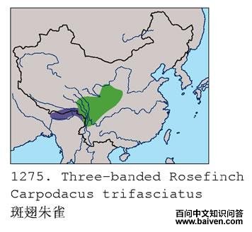 �߳���ȸ�ĵ����ֲ�ͼ