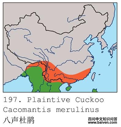 �����ž�ĵ����ֲ�ͼ