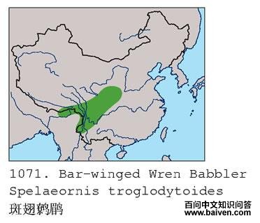 �߳����̵ĵ����ֲ�ͼ