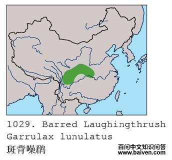 �߱����̵ĵ����ֲ�ͼ