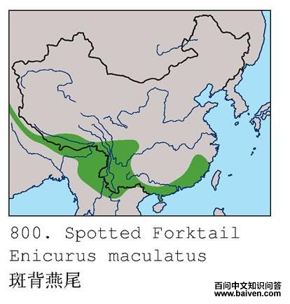 �߱���β�ĵ����ֲ�ͼ