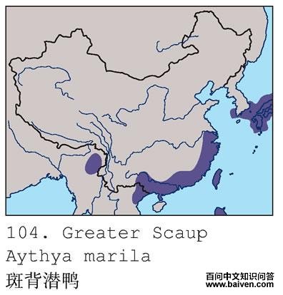 �߱�ǱѼ�ĵ����ֲ�ͼ