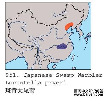 �߱���βݺ�ĵ����ֲ�ͼ