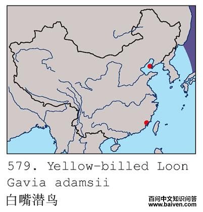 ����Ǳ��ĵ����ֲ�ͼ