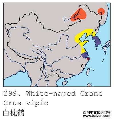 �����׵ĵ����ֲ�ͼ