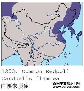 �����춥ȸ�ĵ����ֲ�ͼ