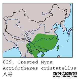 �˸�ĵ����ֲ�ͼ