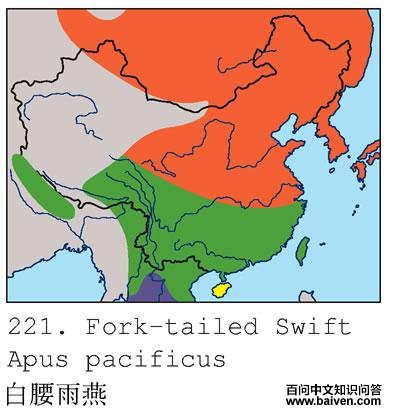 ��������ĵ����ֲ�ͼ