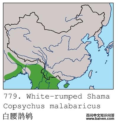 ����ȵ�ĵ����ֲ�ͼ