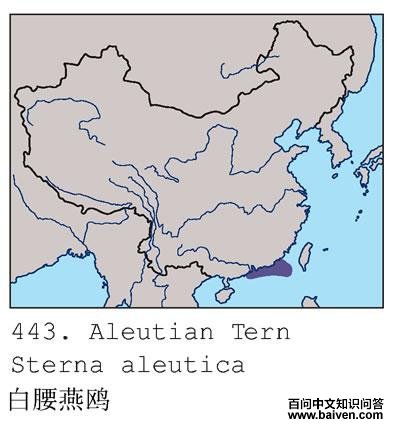 ������Ÿ�ĵ����ֲ�ͼ