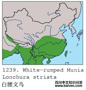 ��������ĵ����ֲ�ͼ