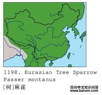 [��]��ȸ�ĵ����ֲ�ͼ