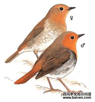 [�ձ�]����ͼ��