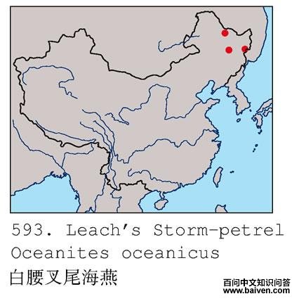 ������β����ĵ����ֲ�ͼ