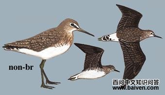 �������ֵ�ͼ��