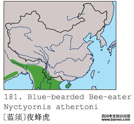 [����]ҹ�仢�ĵ����ֲ�ͼ