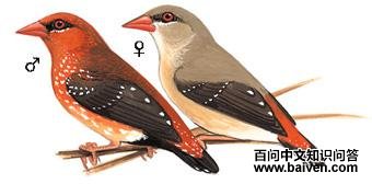 [��]÷��ȸ��ͼ��