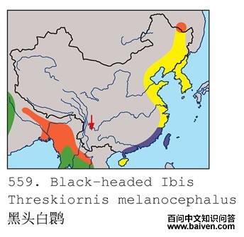 [��ͷ]���q�ĵ����ֲ�ͼ