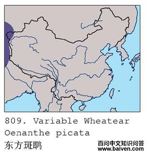 [����]���S�ĵ����ֲ�ͼ