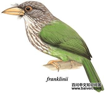 [��ͷ]������ľ���ͼ��